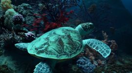 Sora Platform Open AI, berhasil membuat takjub dunia. (ist)