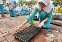 Salah seorang siswa sedang menanam bibit kembang kol.(tangerangnews.co.id)
