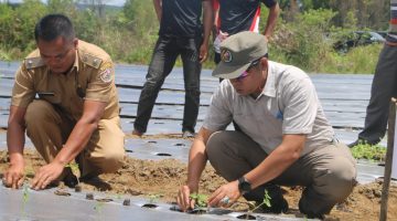 ‎Bupati Taput Dorong BUMDes Sisordak Jadi Pemasok Program Makan Bergizi Gratis‎
