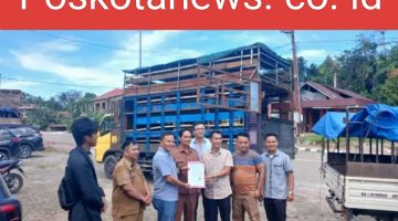 BUMD Nias Barat Salurkan 175 Ekor Bibit Babi Unggul ke 6 BUMDes, Dorong Ekonomi Desa