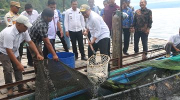 ‎Pemkab Tapanuli Utara Apresiasi Keberhasilan Ketahanan Pangan Desa Hutalontung‎