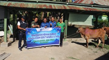 Sarulla Operations Ltd Serahkan 5 Sapi Kurban untuk Masyarakat Tapanuli Utara