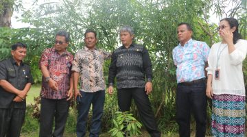 ‎Pemkab Taput Gandeng TJSL PT. Taspen (Persero) Berikan 1.500 Bibit Durian Unggul Kepada Kelompok Tani‎